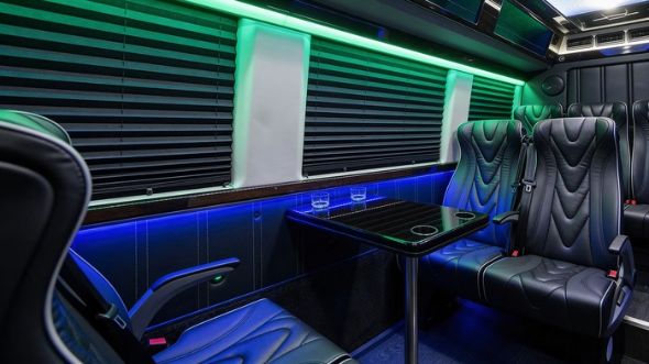 18 passenger sprinter van inside naperville
